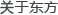 關(guān)于東方企業(yè)集團(tuán)